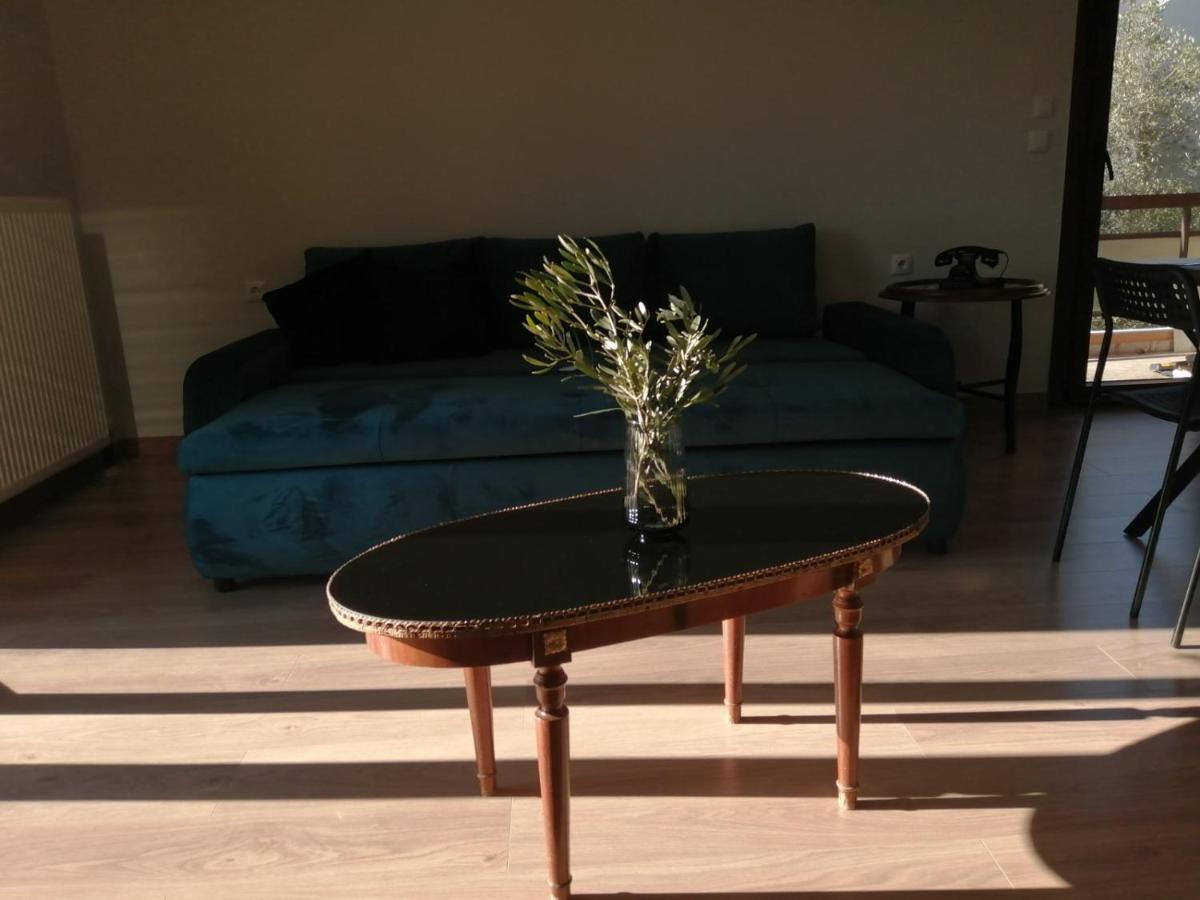 Eleana Apartment Янина Екстериор снимка